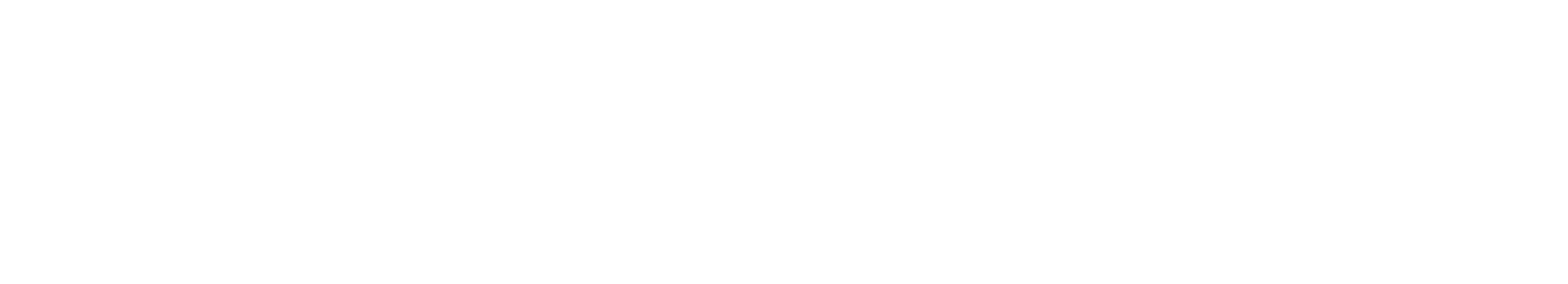 Image of the webrise logo